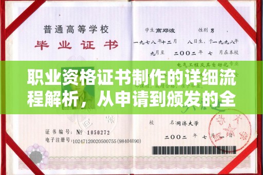 鸟松职业资格证书制作的详细流程解析，从申请到颁发的全方位指南