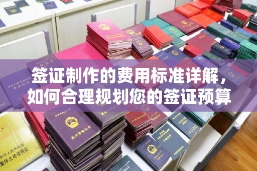莺歌签证制作的费用标准详解，如何合理规划您的签证预算